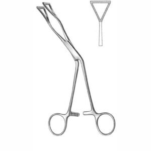 Cardiovasculara