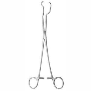 Oral Instrument