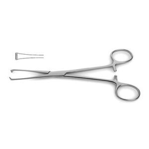 Thoms Allis Tissue Forceps